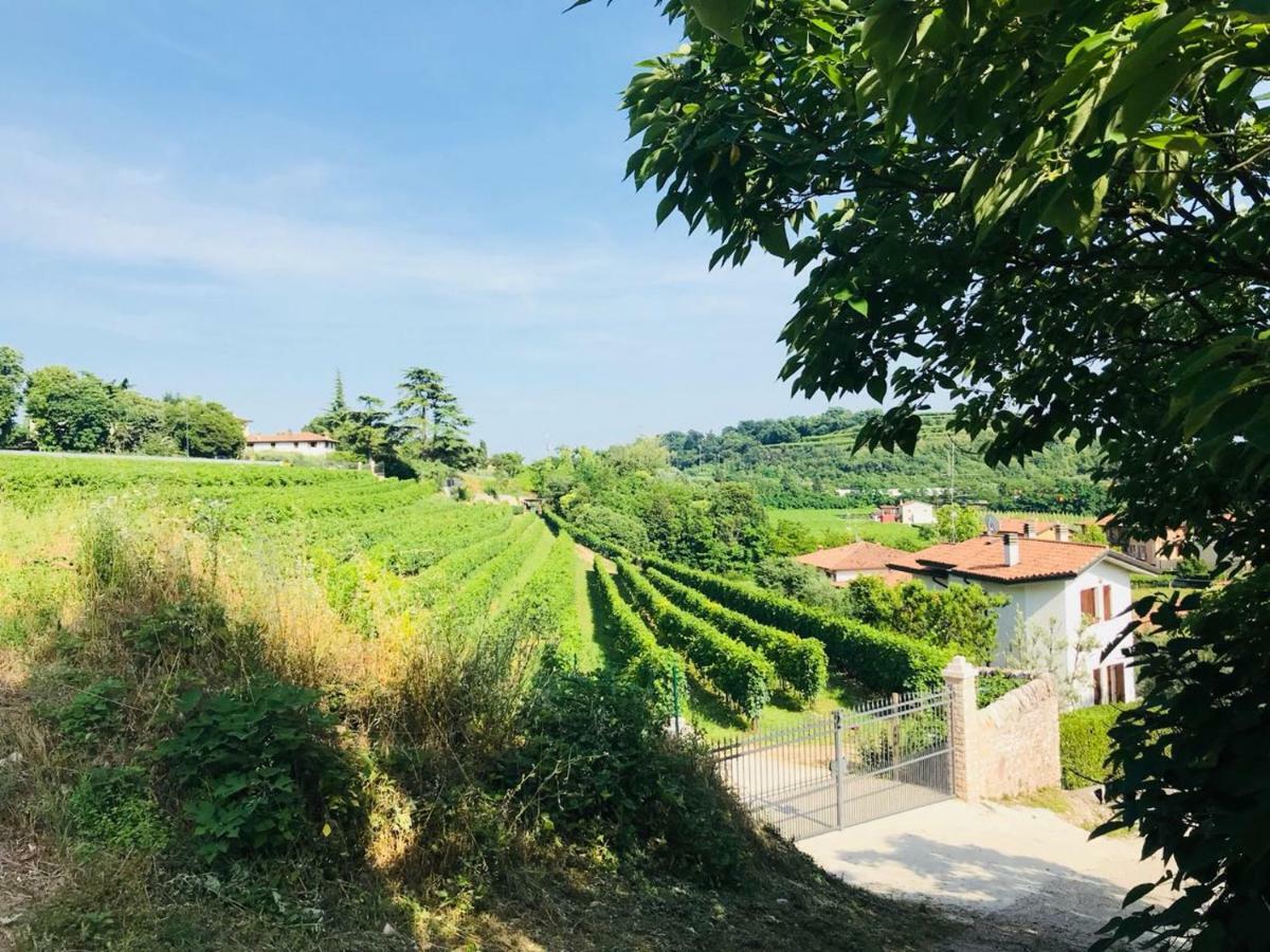 Valpolicella Homes Recioto Apartment SantʼAmbrogio di Valpolicella Esterno foto